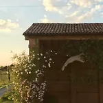 Ca Bianca Dell'abbadessa *