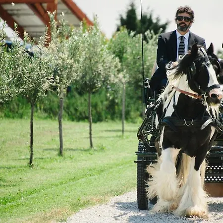 Ca Bianca Dell'abbadessa San Lazzaro di Savena