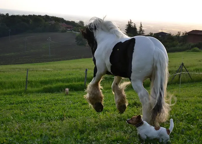 Ca Bianca Dell'abbadessa Casa rural