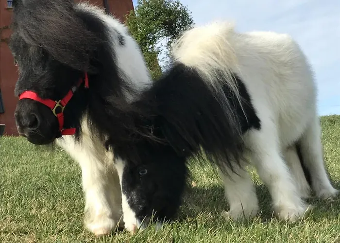 Ca Bianca Dell'abbadessa