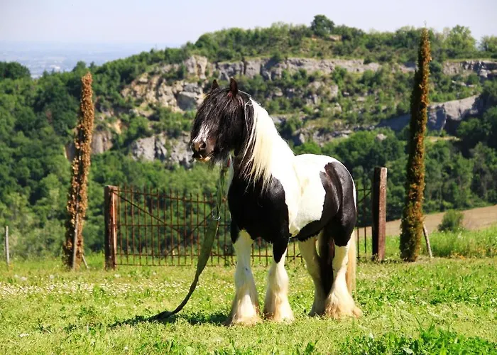 Casa rural Ca Bianca Dell'abbadessa *