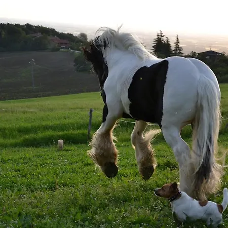Ca Bianca Dell'abbadessa Εξοχικό σπίτι