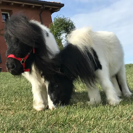 Cà Bianca Dell'abbadessa