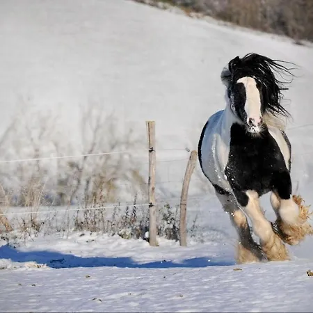 カビアンカ デッラッバデッサ カントリーハウス *
