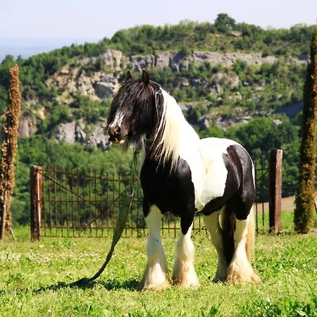 カントリーハウス カビアンカ デッラッバデッサ *