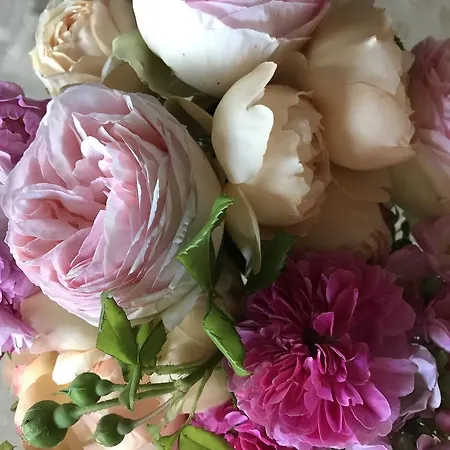 Ca Bianca Dell'abbadessa Εξοχικό σπίτι *