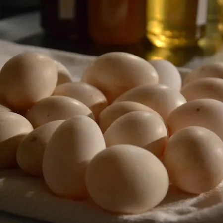 Ca Bianca Dell'abbadessa Σαν Λάτζαρο ντι Σάβενα