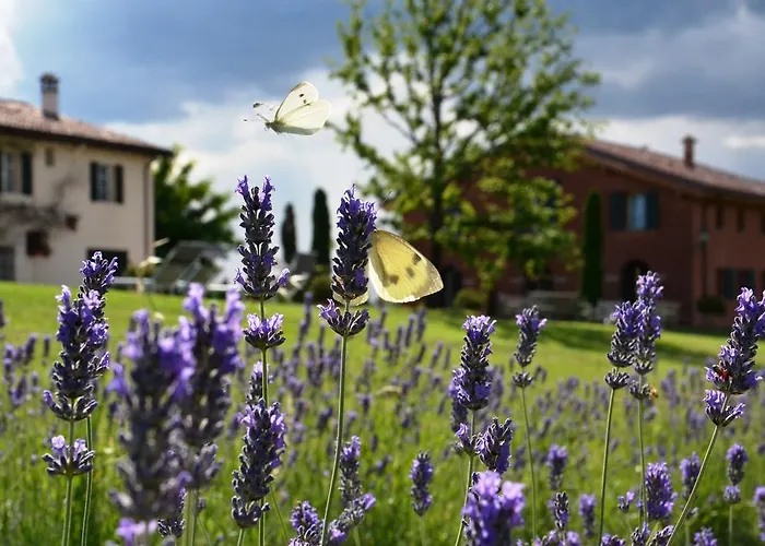 Cà Bianca Dell'abbadessa * San Lazzaro di Savena