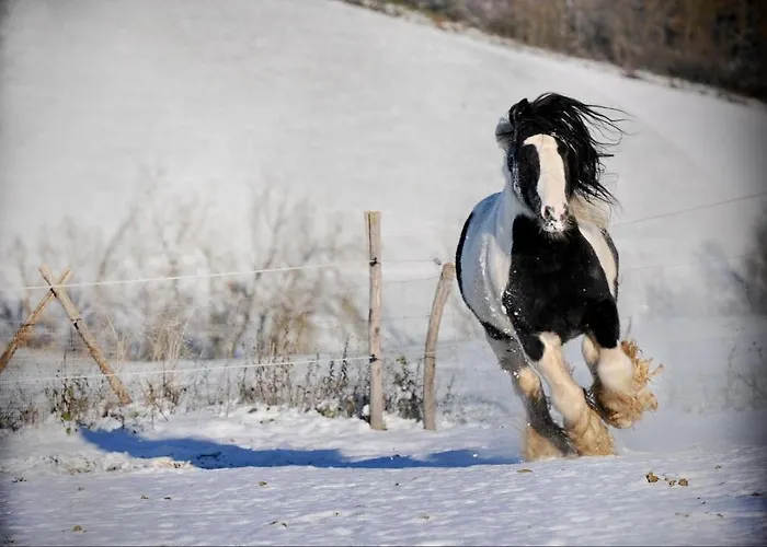 Cà Bianca Dell'abbadessa Séjour à la campagne *