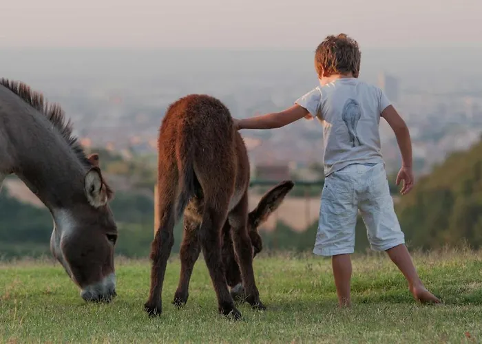 Cà Bianca Dell'abbadessa