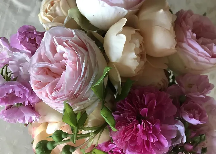 Cà Bianca Dell'abbadessa Séjour à la campagne *