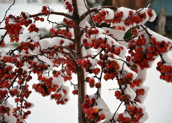 Cà Bianca Dell'abbadessa San Lazzaro di Savena