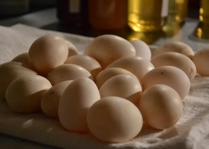 Cà Bianca Dell'abbadessa San Lazzaro di Savena
